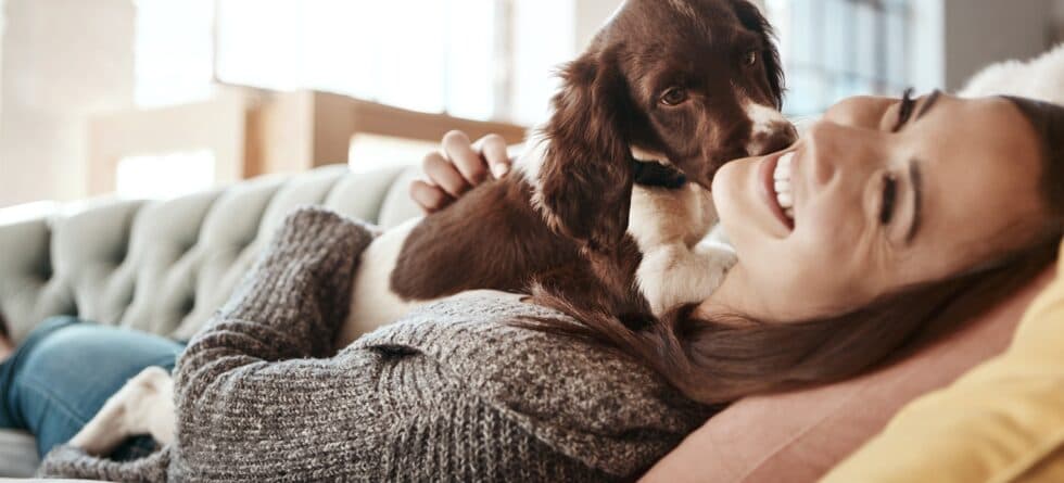 What’s The First Thing To Do After Getting A Puppy?