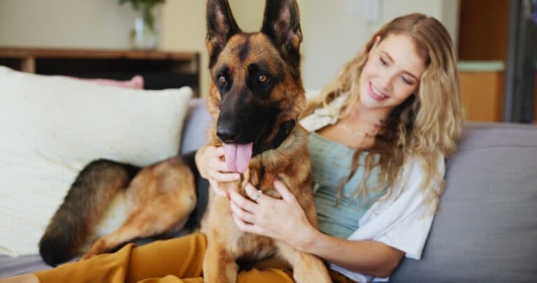 Can I Use Human Shampoo On My German Shepherd?