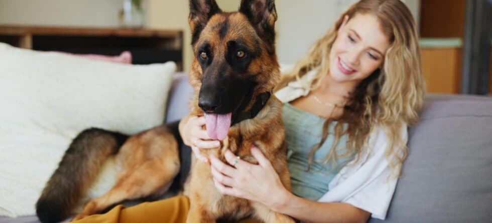 Can I Use Human Shampoo On My German Shepherd?