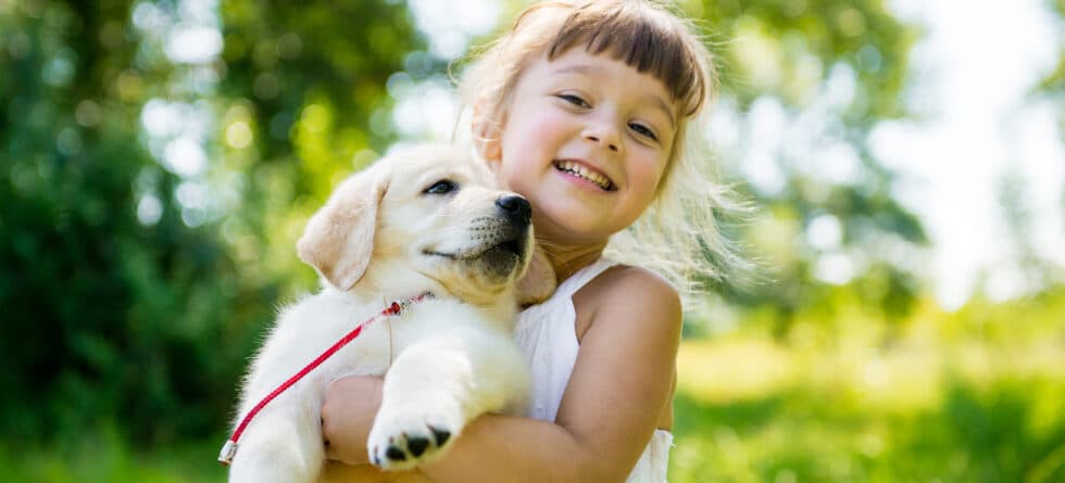 What Are Good Breeds For A First-time Puppy Owner?