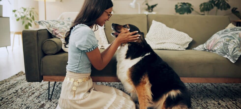 What Should You Not Do When You Bring A Puppy Home?