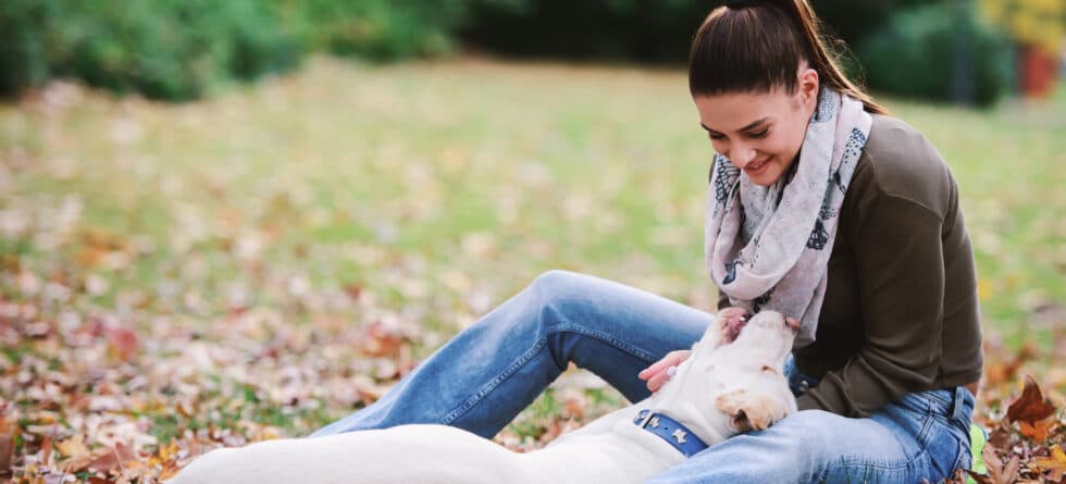 What’s The First Thing To Handle With A New Puppy?