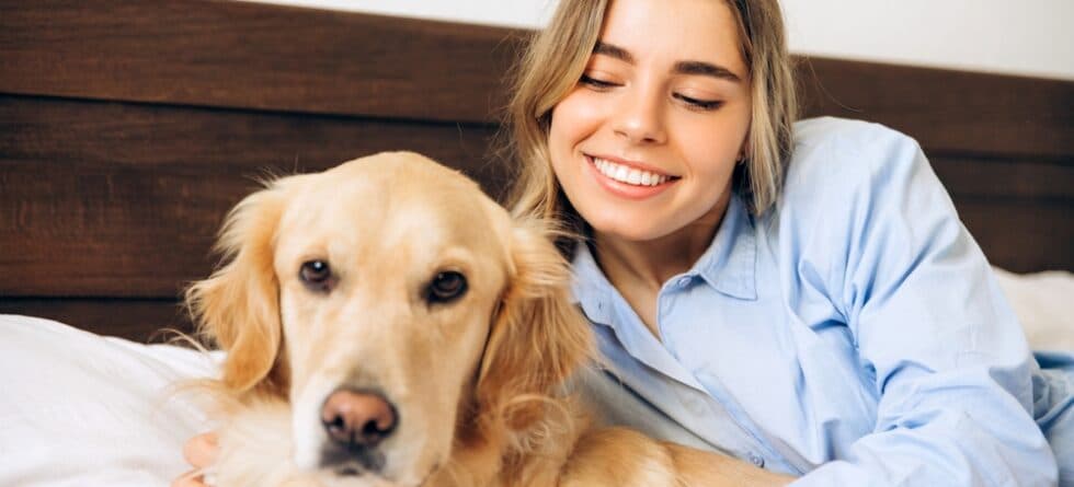 Why Do Golden Retrievers Go Between Your Legs?