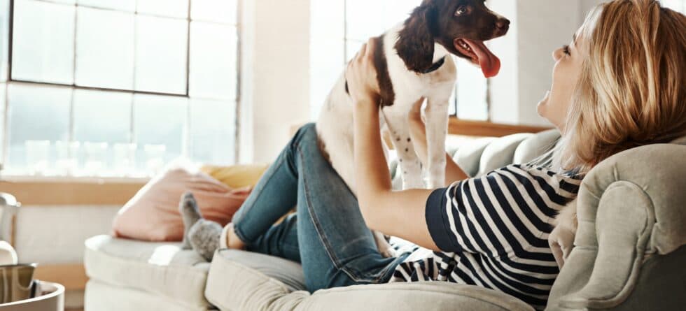 How Can You Confirm A Breeder’s Credibility?