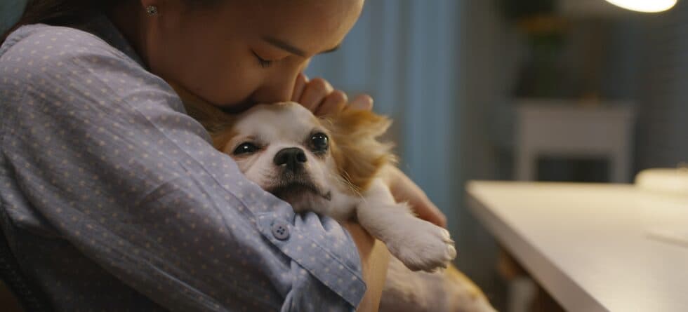 How Long Is It Safe To Leave A Puppy Alone During The Day?