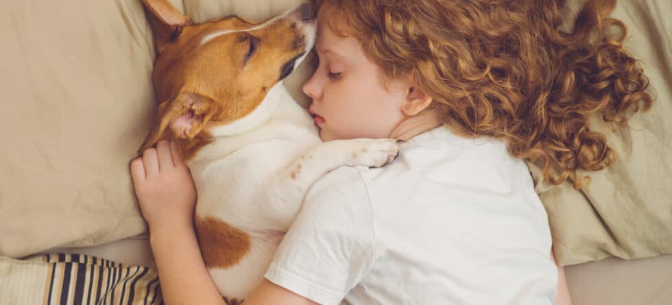 Is 14 Weeks Too Old To Bring A Puppy Into Your Home?