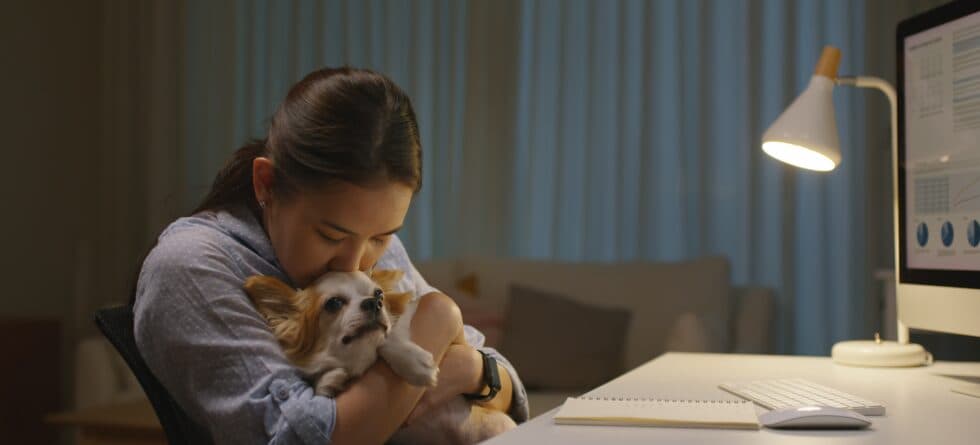 Should You Respond To A Puppy Crying At Night?