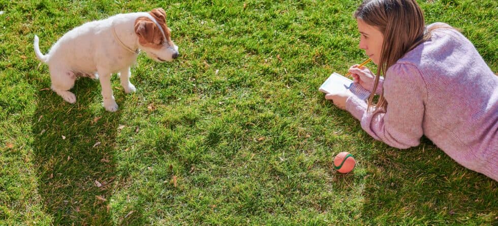 At What Age Can I Stop Crating My Puppy At Night?