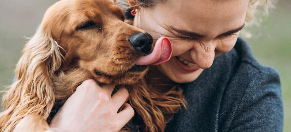 Do Dogs Have A Preference For Certain People?