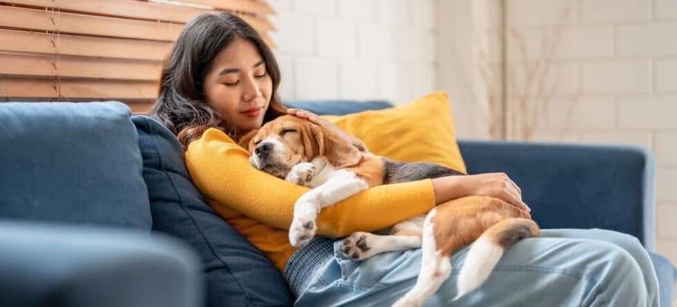 Is 12 Weeks Considered Too Old To Get A Puppy?