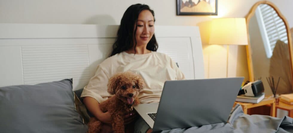 Where Is The Best Place For A Puppy To Sleep At Night?