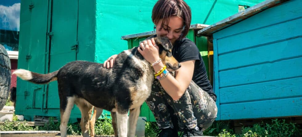 Where Is The Best Place To Search For A Puppy?