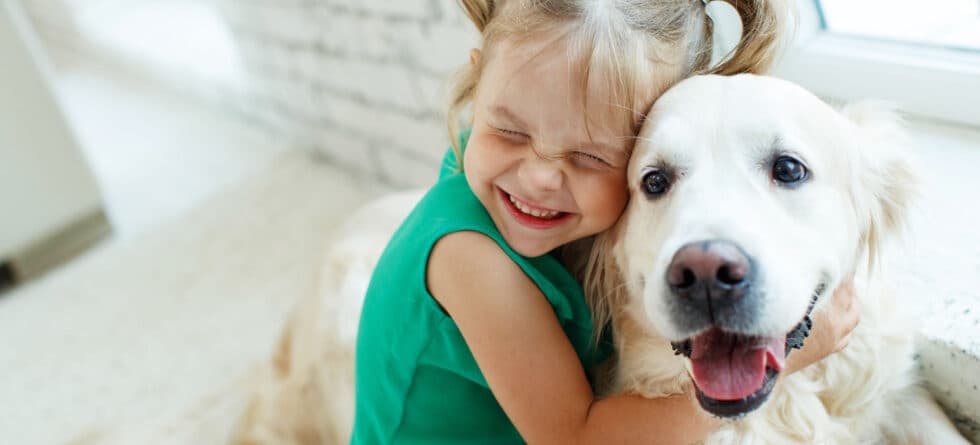 How Can You Tell If A Puppy Will Grow Into A Calm Dog?