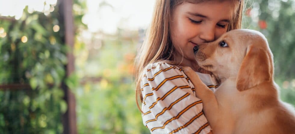 Is 8 Weeks Or 12 Weeks The Better Time To Bring A Puppy Home?
