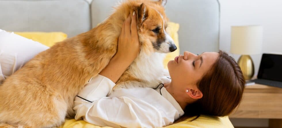 Is There An Ethical Approach To Purchasing A Puppy?