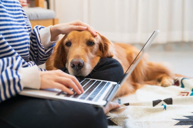 Can You Own A Dog If You Work Regular Hours?