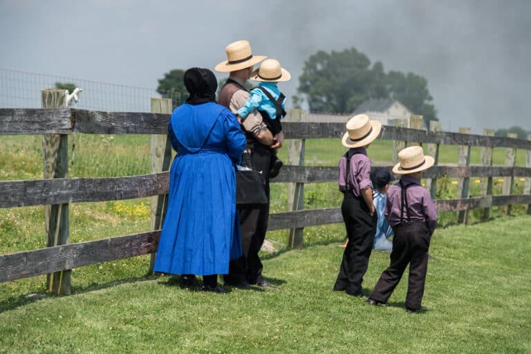 Is Buying A Puppy From The Amish Community Okay?