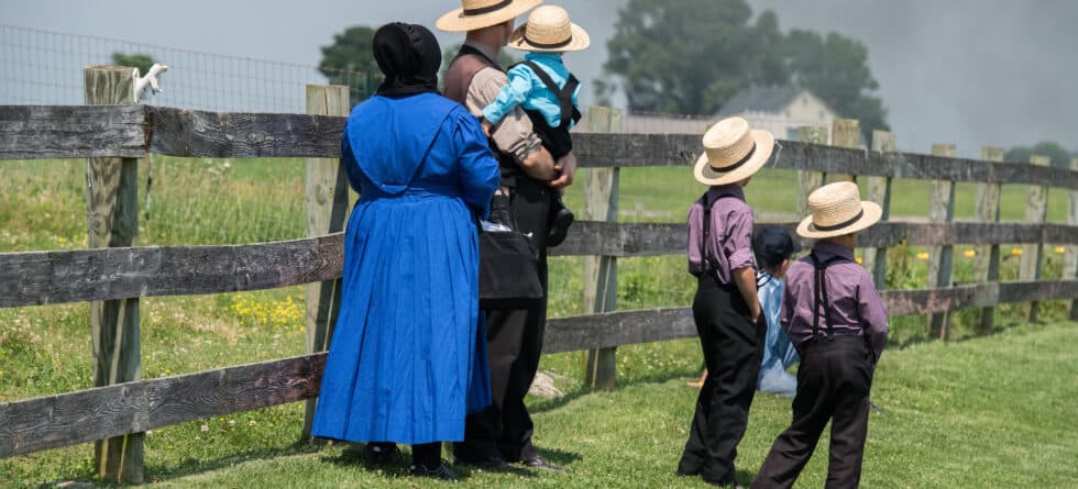 Is Buying A Puppy From The Amish Community Okay?