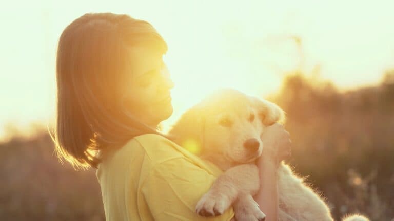 Are Golden Retrievers Loyal To One Person?
