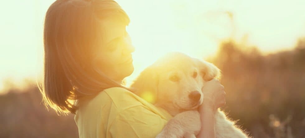 Are Golden Retrievers Loyal To One Person?