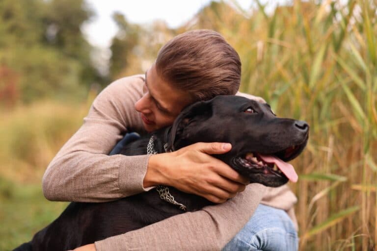 Are Labs Overly Affectionate?