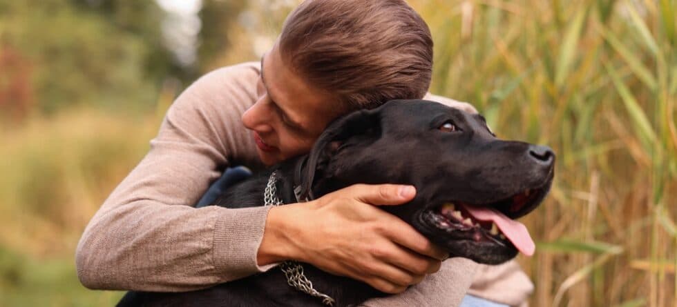 Are Labs Overly Affectionate?