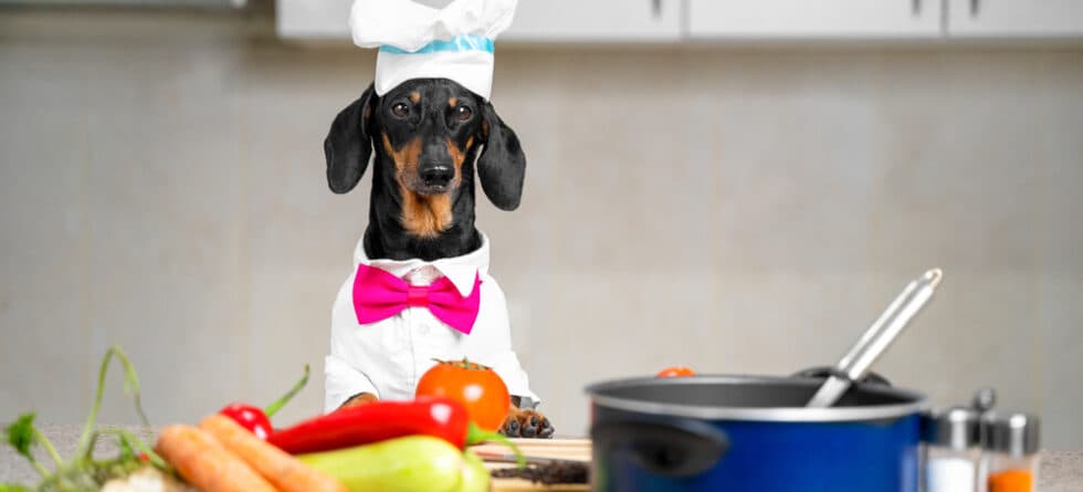 Can Dachshunds Eat Vegetables?