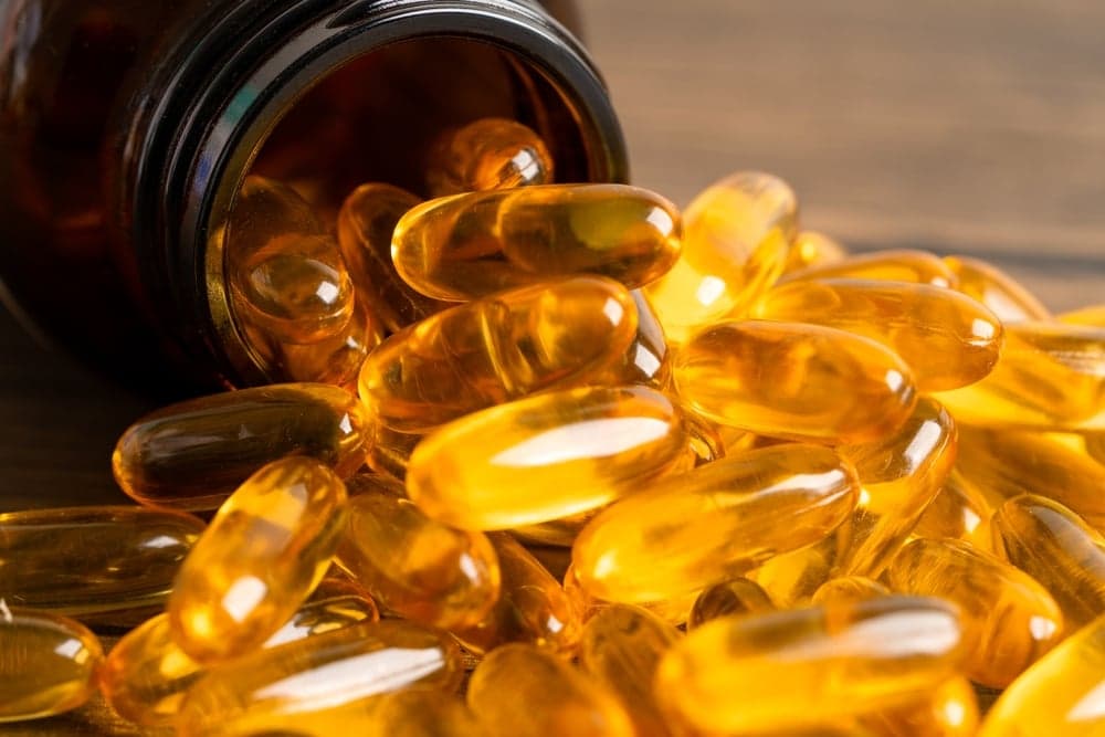 Do Dogs Need Fish Oil?
