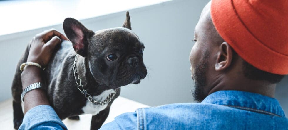 Do Frenchies Have Behavior Problems?