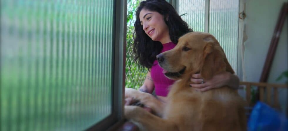 How Do Golden Retrievers Show They Love You?