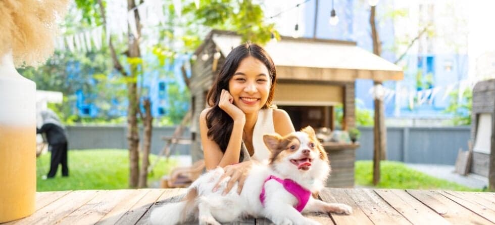 How Do I Know If My Chihuahua Loves Me?