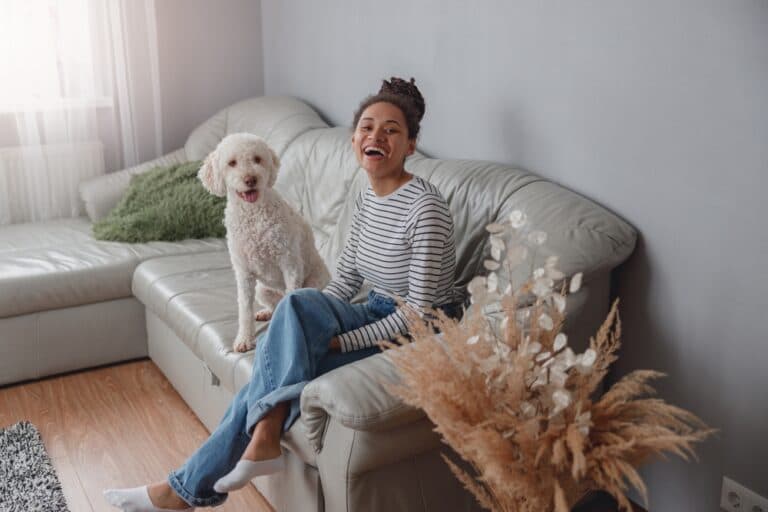 How Do You Know Your Poodle Loves You?