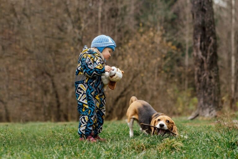 How To Make A Beagle Happy?