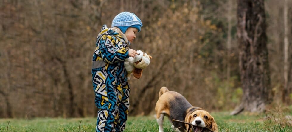 How To Make A Beagle Happy?