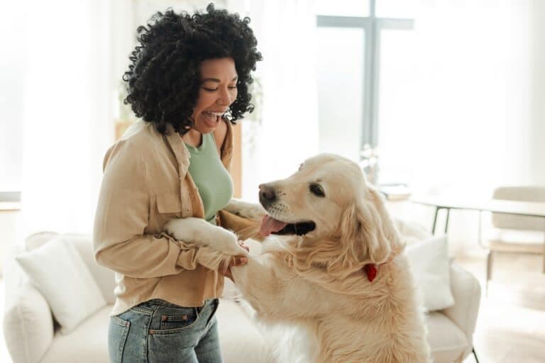 How To Train A Golden Retriever?