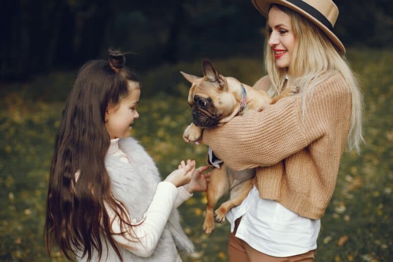 What Is The Downside Of French Bulldogs?