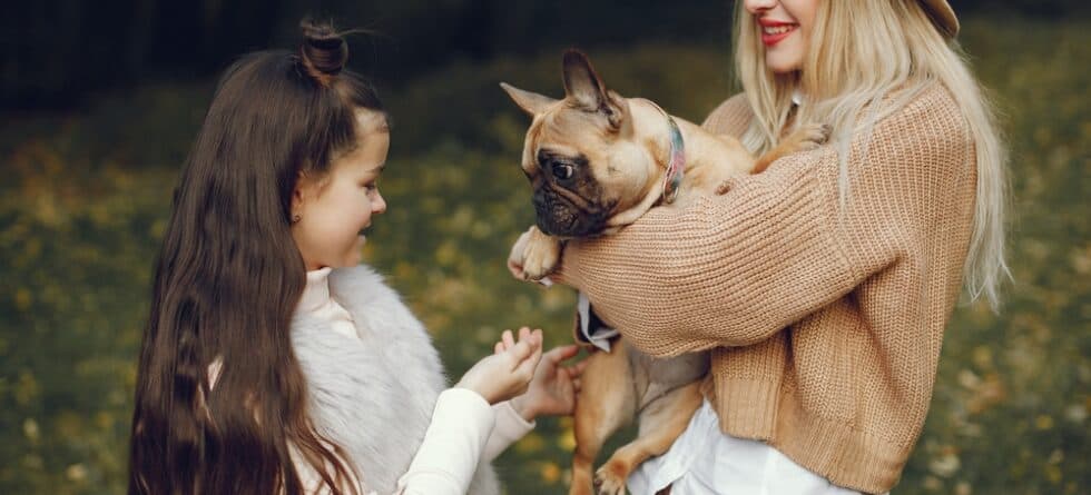 What Is The Downside Of French Bulldogs?