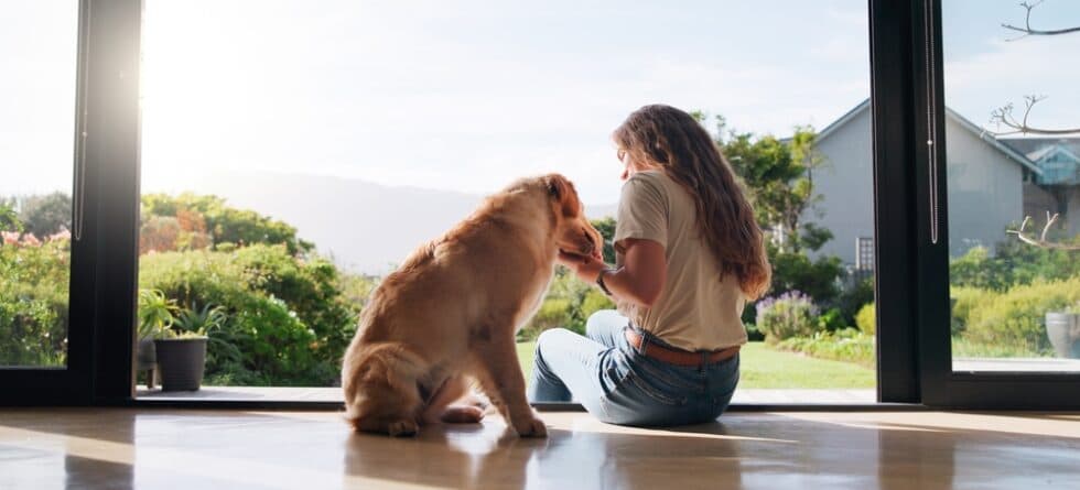 Which Breed Of Dog Has The Worst Separation Anxiety?