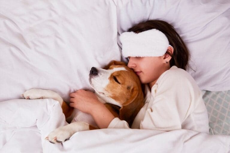 Why Does My Beagle Go Crazy At Night?