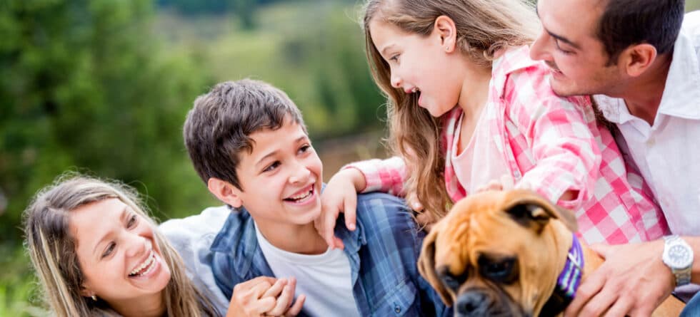 Are Boxer Dogs Good Family Dogs?