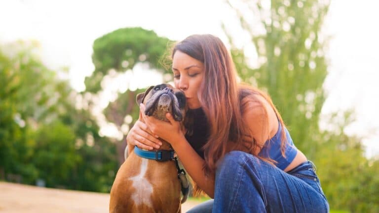 Are Boxers Clingy Dogs?