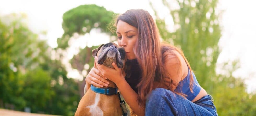 Are Boxers Clingy Dogs?