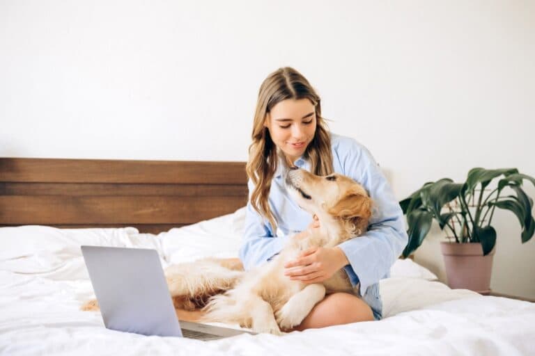 Do Golden Retrievers Get Possessive?