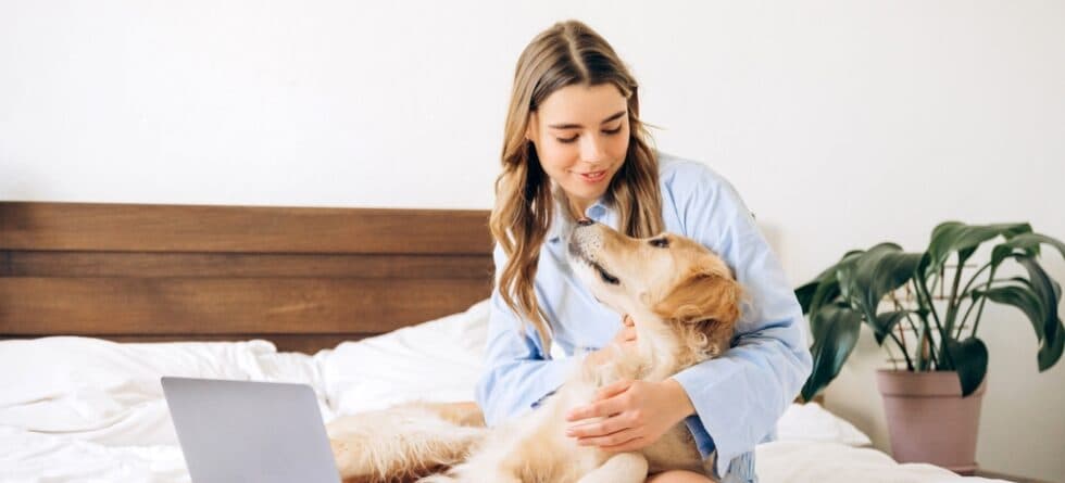 Do Golden Retrievers Get Possessive?