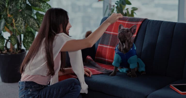 How Do You Get A Frenchie To Behave?
