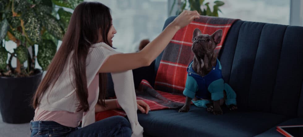 How Do You Get A Frenchie To Behave?