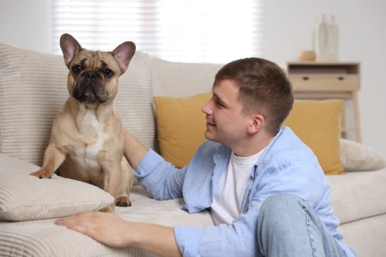 How To Make Your French Bulldog Live Longer?