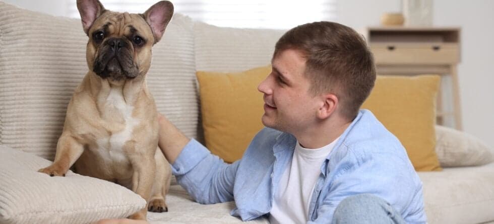How To Make Your French Bulldog Live Longer?