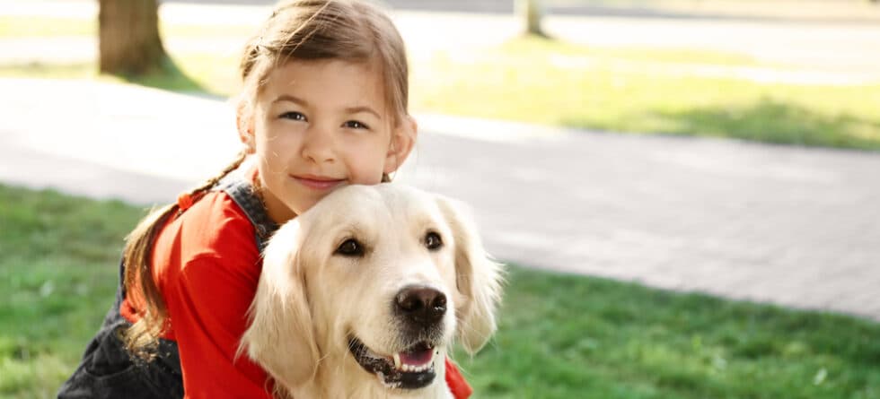 Is Golden Retriever A Lucky Dog?