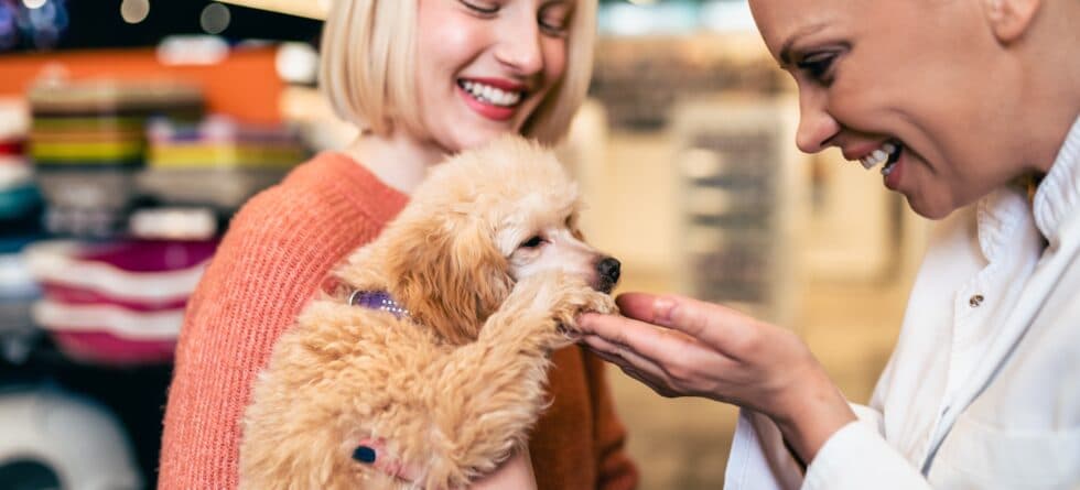 Is It Safe To Buy A Puppy From A Private Seller?